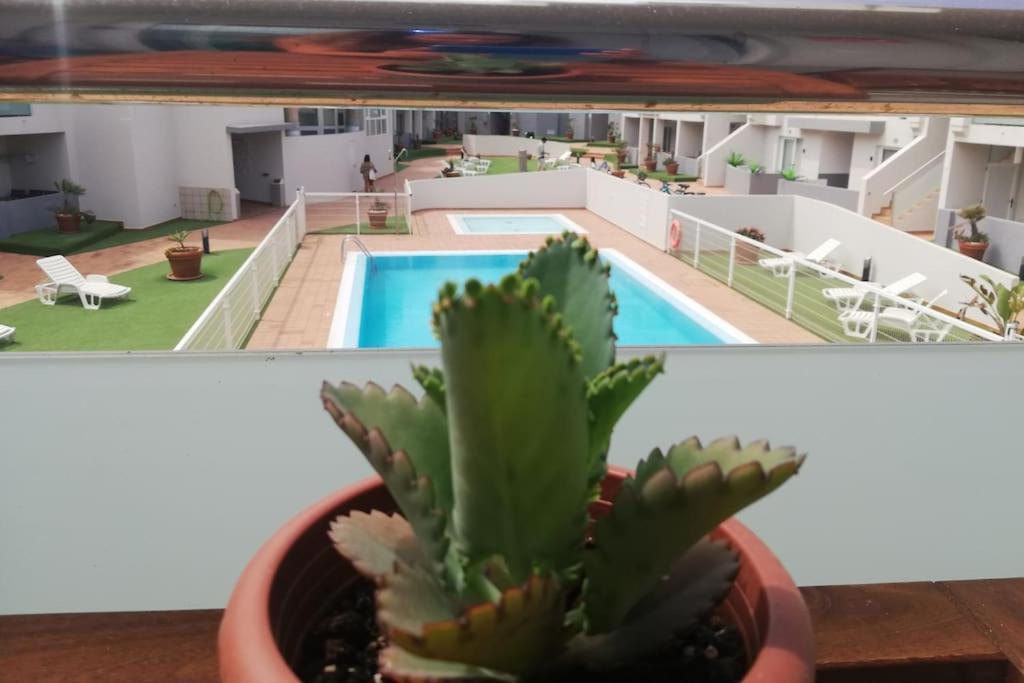 Blue Ocean Corralejo: Sunny Terrace, Pool, Wifi公寓 外观 照片