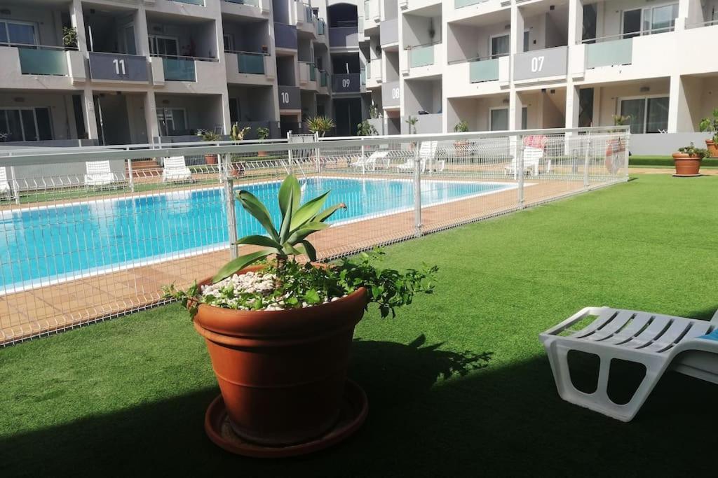 Blue Ocean Corralejo: Sunny Terrace, Pool, Wifi公寓 外观 照片
